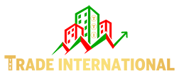 Website Logo